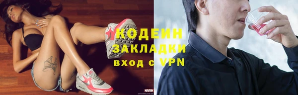 дмт Богородск