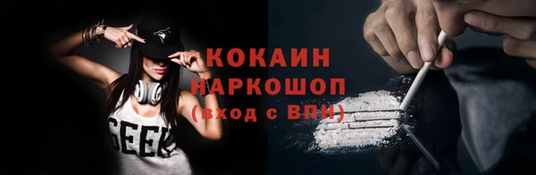 прущий лед Богданович
