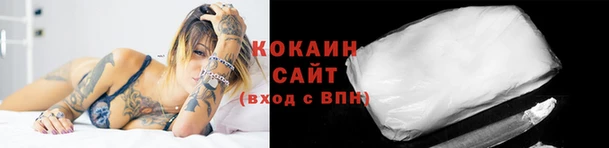 дмт Богородск