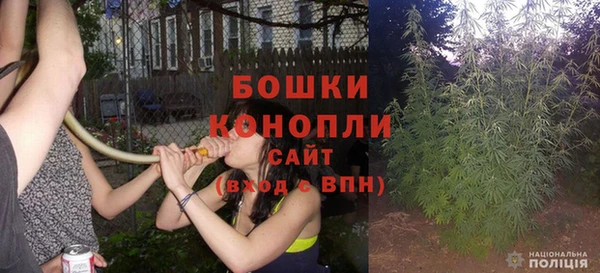 сатива Богородицк