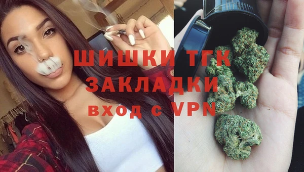 сатива Богородицк