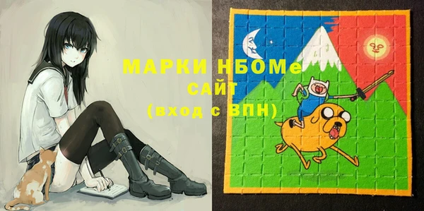 дмт Богородск