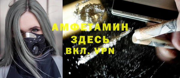 прущий лед Богданович