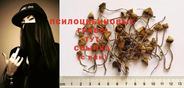 прущий лед Богданович