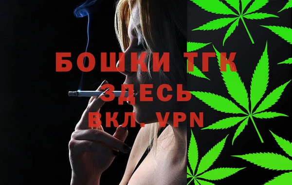 сатива Богородицк