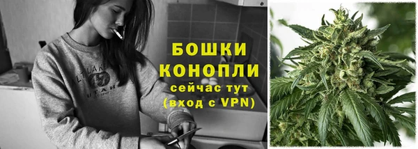 сатива Богородицк