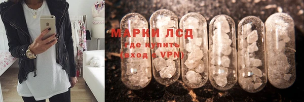 прущий лед Богданович