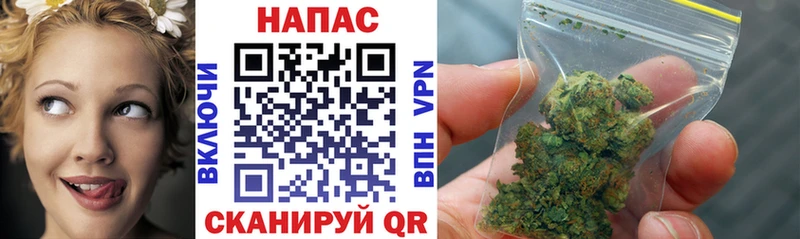 MEGA как зайти  Невельск  Канабис тримм 